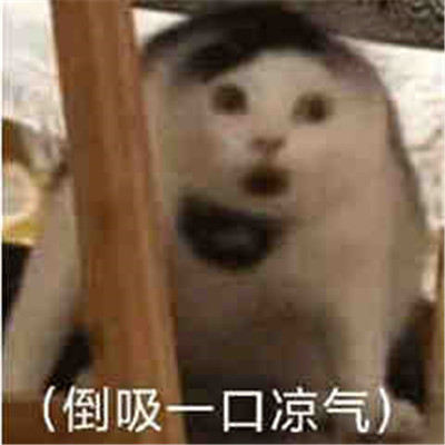 很有个性很可爱的微信表情大全 没回就是在收破烂(图7)