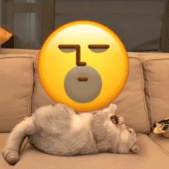 最新的超级有魔性的gif聊天表情合集 小猫咪翻滚emoji的gif可爱表情(图7)