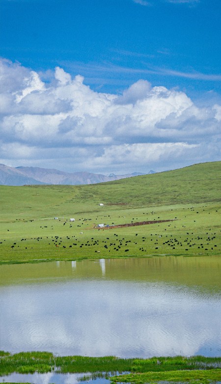 适合男生用的高清又很简约的壁纸 温柔是懂事换来的最温柔也最冷漠(图6)