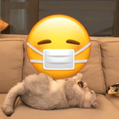 最新的超级有魔性的gif聊天表情合集 小猫咪翻滚emoji的gif可爱表情(图5)