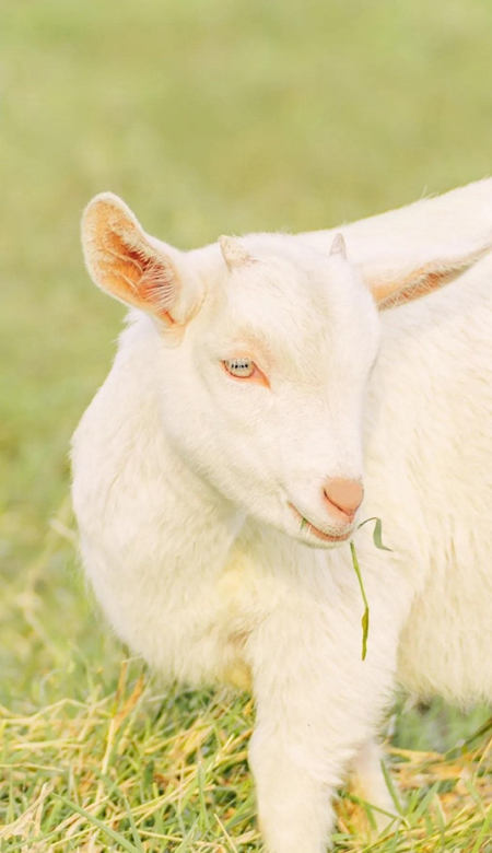适合男生用的高清又很简约的壁纸 温柔是懂事换来的最温柔也最冷漠(图2)