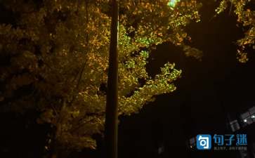 2021年正能量晚安句子集锦46条