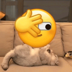 最新的超级有魔性的gif聊天表情合集 小猫咪翻滚emoji的gif可爱表情(图3)