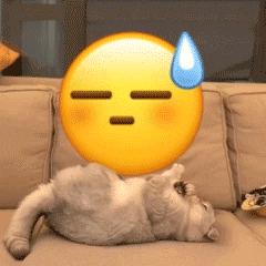 最新的超级有魔性的gif聊天表情合集 小猫咪翻滚emoji的gif可爱表情(图8)