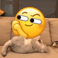 最新的超级有魔性的gif聊天表情合集 小猫咪翻滚emoji的gif可爱表情(图2)