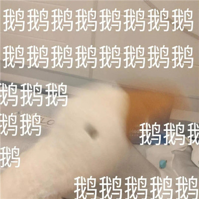 超级有趣的热门的搞笑表情大全 莫不是对我动了情(图5)