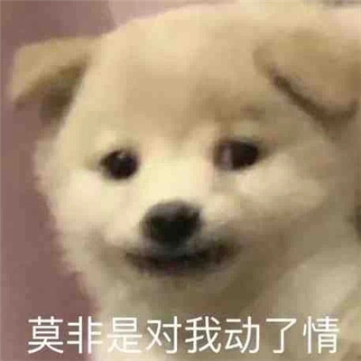 超级有趣的热门的搞笑表情大全 莫不是对我动了情(图1)