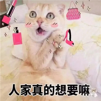 让你毫无抵抗力的可爱表情包 软萌的精选撒娇聊天表情(图2)