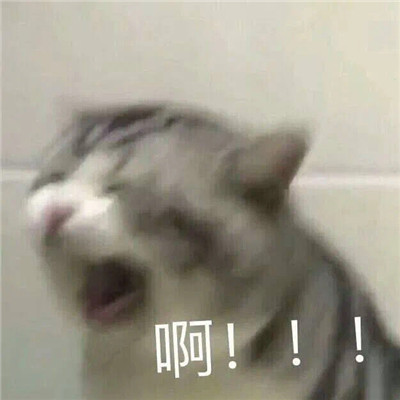 超级搞笑的趣味的精选表情合集 来自单身狗羡慕表情(图4)