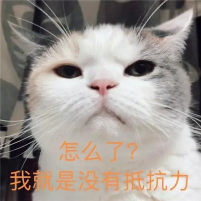 让你毫无抵抗力的可爱表情包 软萌的精选撒娇聊天表情(图9)