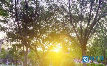 精选正能量早安句子集合56句