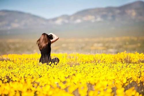 带姑娘二字的网名大全 南巷姑凉(图1) 带姑娘二字的网名大全 南巷姑凉