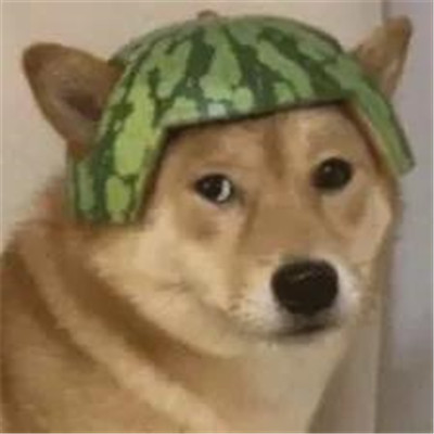 很实用又很经典的搞怪表情合集 超级俏皮的有趣聊天表情(图6)