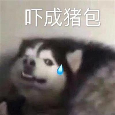 很实用又很经典的搞怪表情合集 超级俏皮的有趣聊天表情(图5)