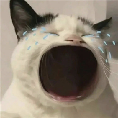 超级沙雕又很有趣的妈宝表情包 我想和妈妈在一起(图2)