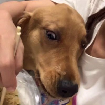 爱是什么呢 爱是今晚想通，明天又沦陷(图5)