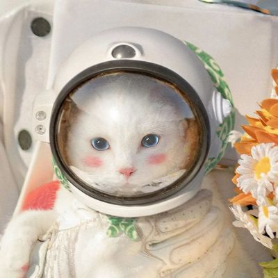  超可爱的萌宠动物情头(图5)