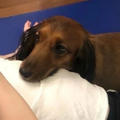 “玫瑰无原则心动至上”(图12)