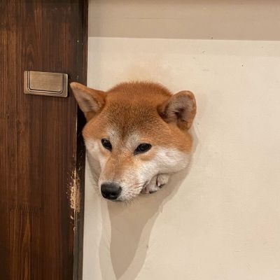 爱是什么呢 爱是今晚想通，明天又沦陷(图7)