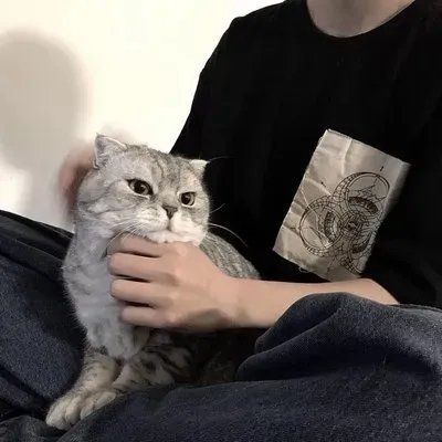 快乐男头nice?雨会停，天会晴，所有的事情都会好起来的。(图12)