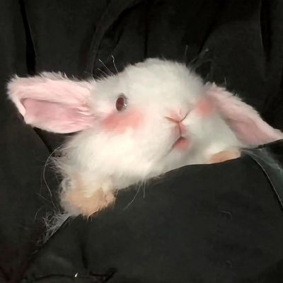 ins真人恩爱情头曾经你是我生命中的氧气如今你也只配当二氧化碳了(图17)