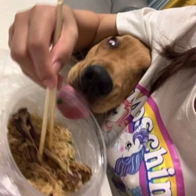 爱是什么呢 爱是今晚想通，明天又沦陷(图6)