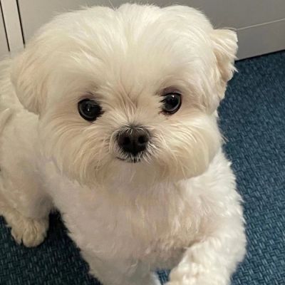 cute  animal.?(图9)