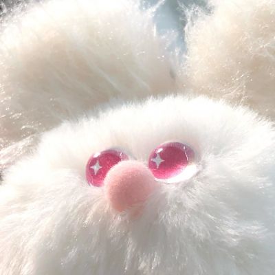 毛茸茸     /  高清(图1)