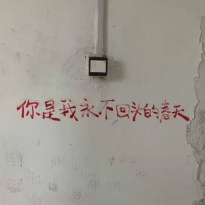 我一直都在关注你，以你知道或者不知道的方式。(图5)