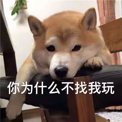 超热门多风格微信聊天表情包 早上好不好也可以随便你(图2)