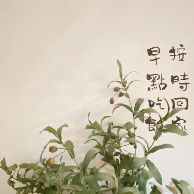 大海一望无际 海风可以吹走所有烦恼.(图6)