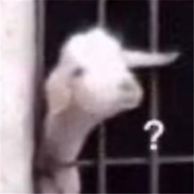 很热门的超级沙雕的表情包 我有绿码可以和你亲亲吗(图2)