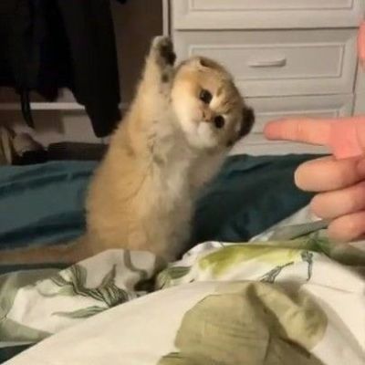 “温泉怎么翻译嘞” “gu lu gu lu water”(图2)