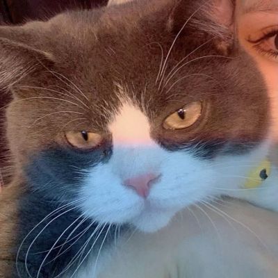 涵/对象不是人系列情头૮₍ ˃ ⤙ ˂ ₎ა(图2)