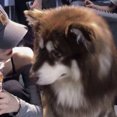 又是一年冬天 好久不见 别来无恙(图12)