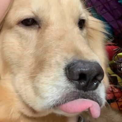 涵/对象不是人系列情头૮₍ ˃ ⤙ ˂ ₎ა(图4)