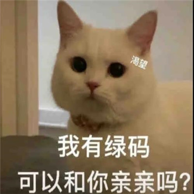 很热门的超级沙雕的表情包 我有绿码可以和你亲亲吗(图6)