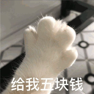 很热门的超级沙雕的表情包 我有绿码可以和你亲亲吗(图7)