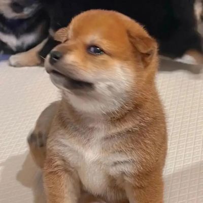 不被情绪裹挟才是高级的自由(图1)