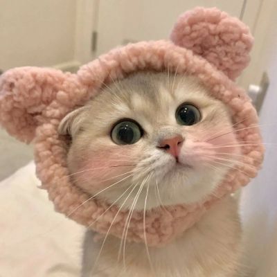 我们拉钩，秋天陪你冬天也陪你✨(图2)