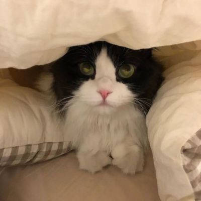 不被情绪裹挟才是高级的自由(图4)