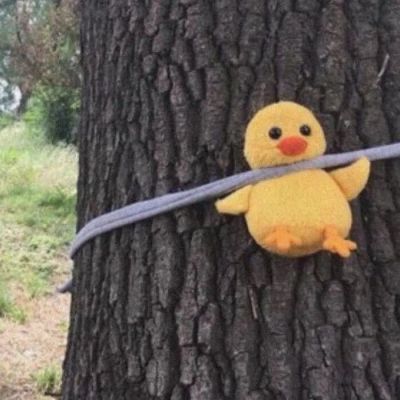 搞怪头像/神说爱意逃不过(图10)