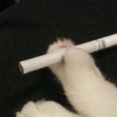 搞怪头像/神说爱意逃不过(图7)