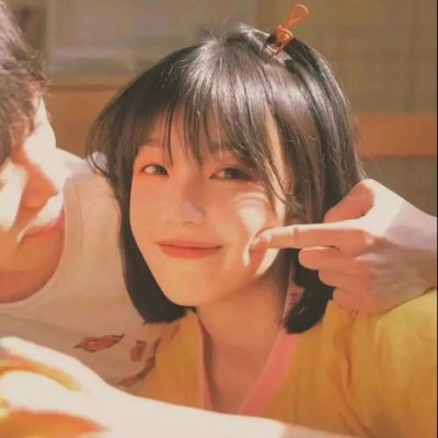 暖色系列，y小柯基(图5)