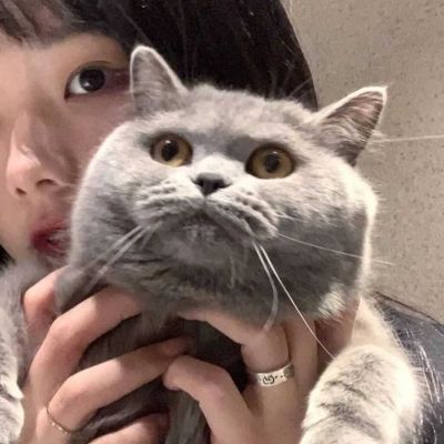 ♡对象不是人系列3./(图6)