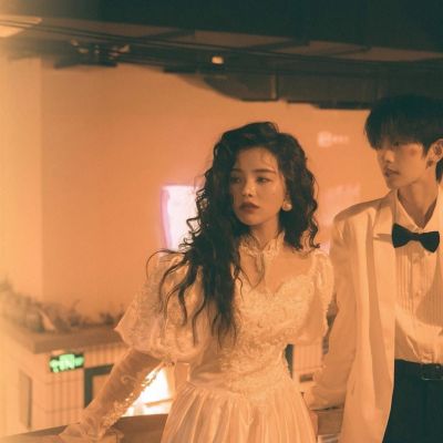 暖色系列，y小柯基(图2)