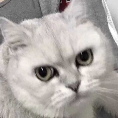 ♡对象不是人系列2./(图10)