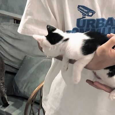 ins小清新文艺范男头我的恋爱狙击枪已经对着你的头了(图9)