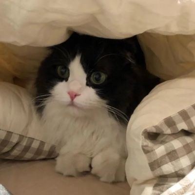 不被情绪裹挟才是高级的自由(图3)