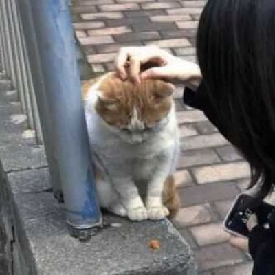 ♡对象不是人系列3./(图3)